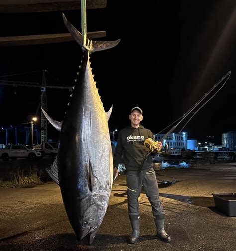 World Record Bluefin Tuna