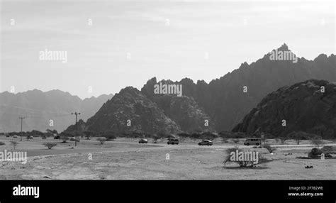 Saudi Arabia 的图像结果