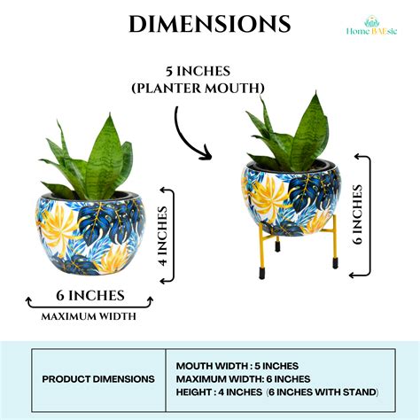 Stylish Monstera Vibes Indoor Metal Planter with Stand -6 Inches| 35% ...