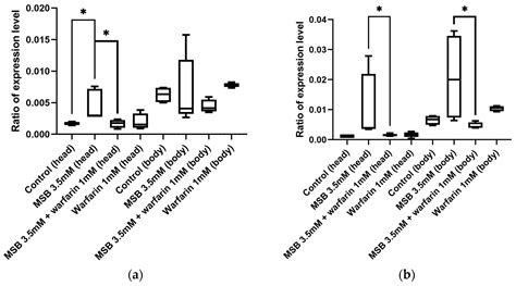 Effect of Warfarin on Lifespan and Oxidative Stress Tolerance of ...