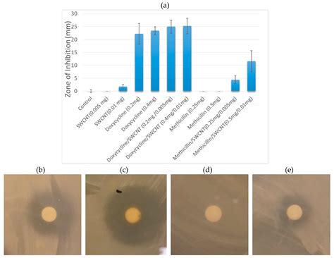 Single-Walled Carbon Nanotube-Assisted Antibiotic Delivery and Imaging ...