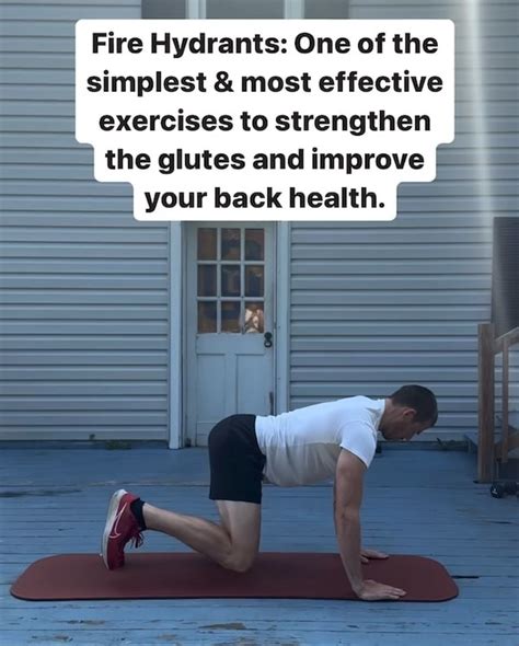 Image result for Fire Hydrant Exercise Proper Form