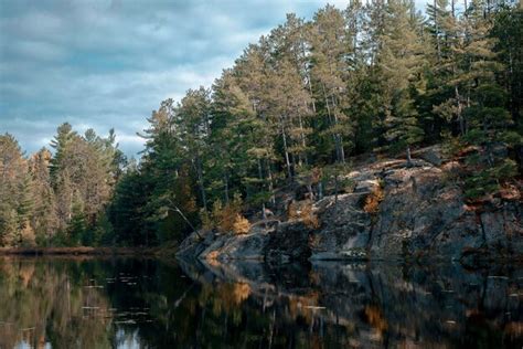 Trees in top of boulders over lake during autumn | Premium Photo