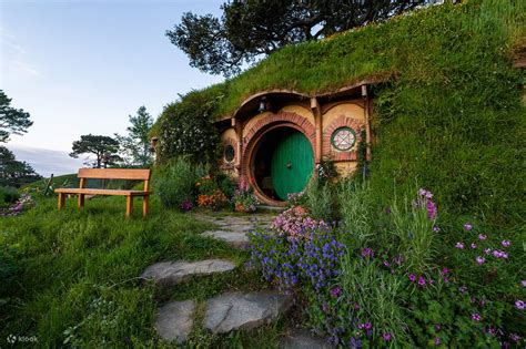 Hobitton Movie Set & Waitomo Glow Worm Caves - Klook India