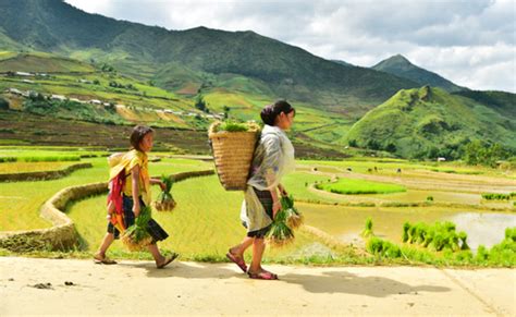 Image result for Developed Countries