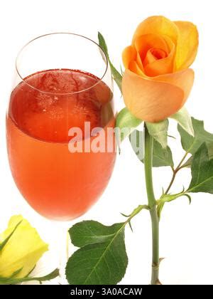 Red cocktails set: kir royale, negroni, boulevardier, cosmopolitan, sea ...