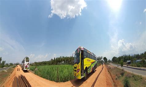 MEGAMALAI WILDLIFE SANCTUARY (2025) All You Need to Know BEFORE You Go ...