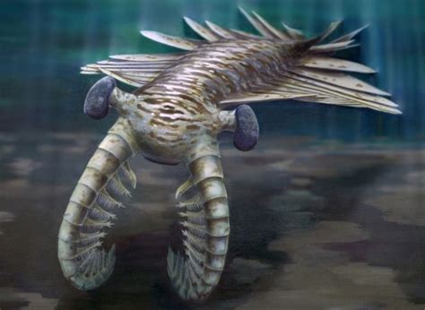 25 Extinct Fish Species That Swam Through Earth’s Ancient Waters - Exploring Animals