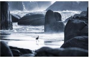 Wingage rocks Paper Print - Abstract posters in India - Buy art, film ...