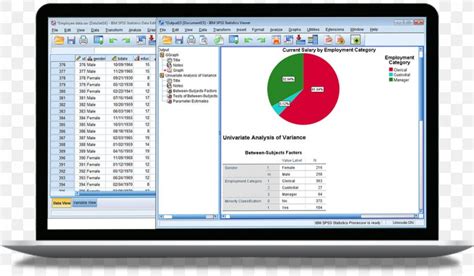 SPSS Software Computer 的图像结果