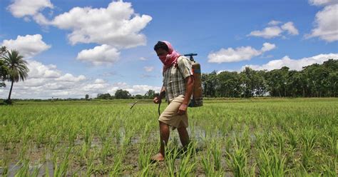 Pesticide ban: India finally bans 18 pesticides it was meant to phase ...