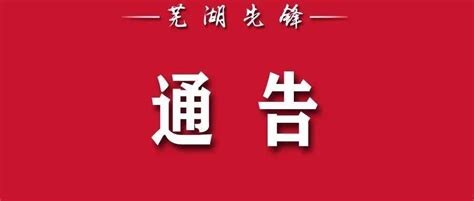 关于芜湖市2022年度考试录用公务员总成绩公布和体检确认有关事项的通知（一）_考生_附件_携带本人