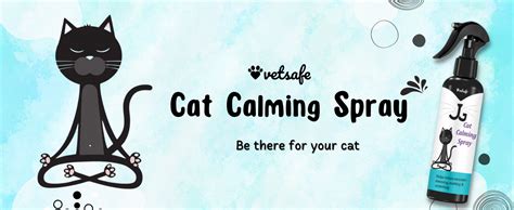 Buy VetSafe Cat Calming Spray Online at Low Prices in India - Amazon.in