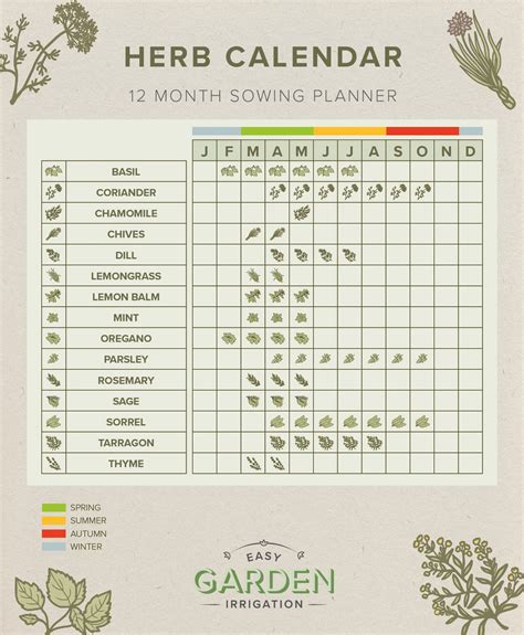 UK Herb Planting Calendar | Easy Garden Irrigation