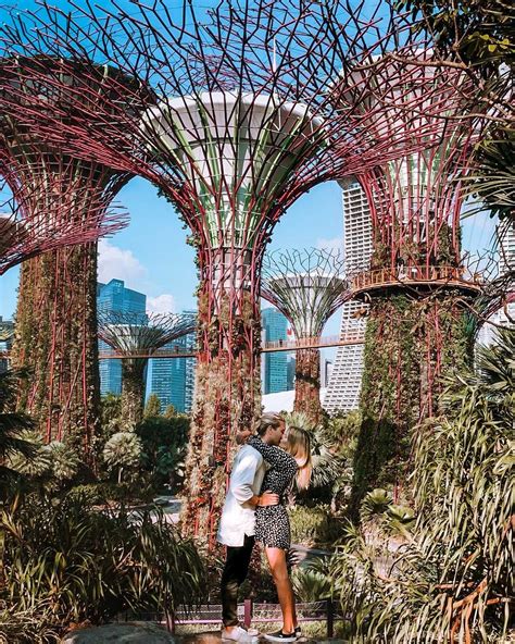 Tulum Guide 的图像结果