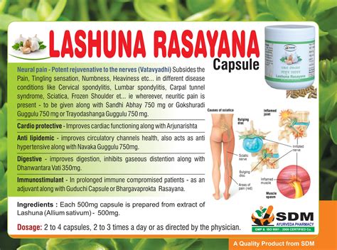 Lashuna Rasayana Capsule 400mg-SDM AYURVEDA PHARMACY – SDM Ayurveda ...