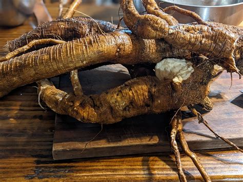 Poke Root and Castor Oil — Missouri Herbs