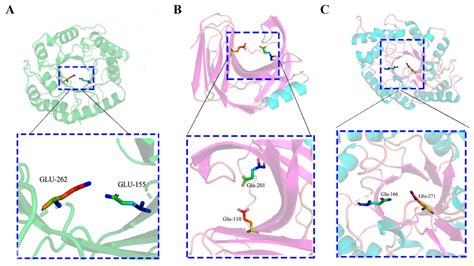 Mining, Identification, and Characterization of Three Xylanases from ...