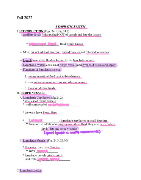 Lymphatic System Lecture 的图像结果