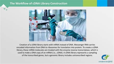 Image result for cDNA Library Applications
