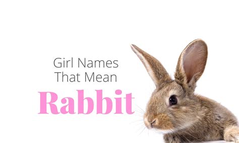 Girl Names That Mean Rabbit | MomsWhoThink.com