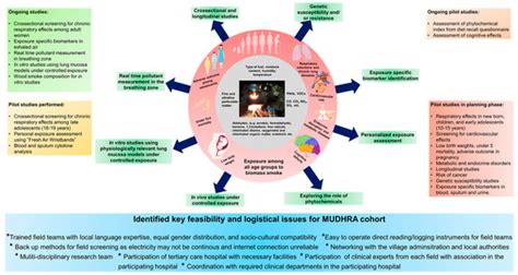 Clinical, Epidemiological and Experimental Approaches to Assess Adverse ...