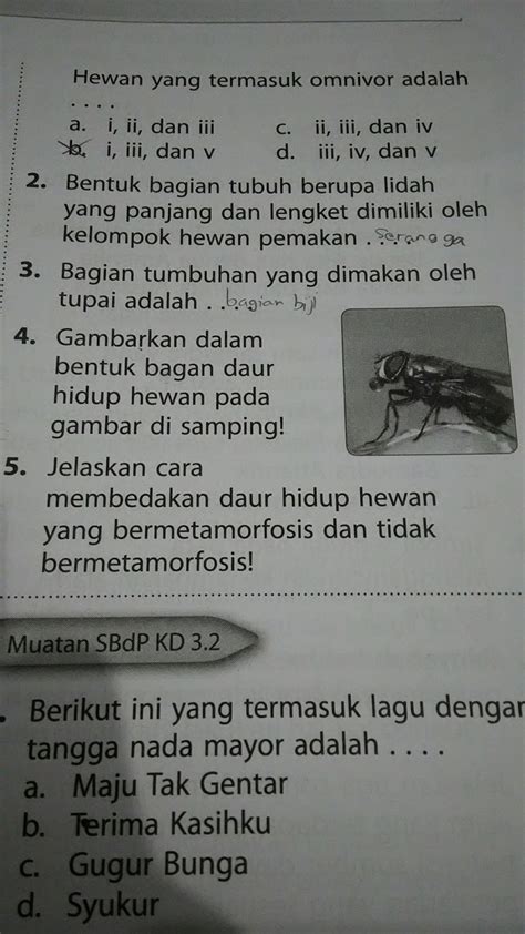 bagian tumbuhan yang dimakan oleh tupai adalah