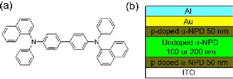 Image result for NPD File Folder Structure