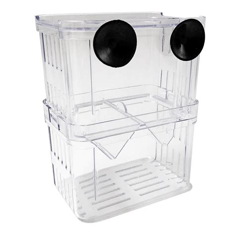 Double-Deck Clear Fish Breeding Isolation Box India | Ubuy