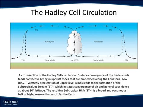 Image result for Convective Circulation Patterns
