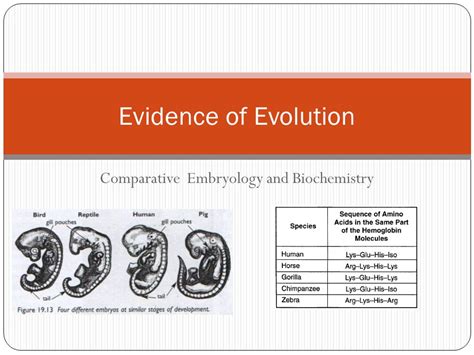 Evidence of Evolution 的图像结果