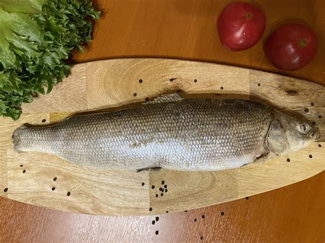 Рыба муксун — фото и описание, рецепты приготовления, польза и вред