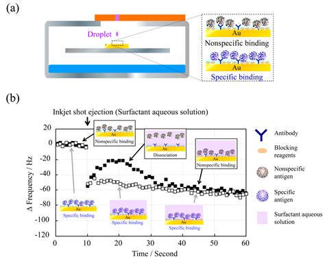 New Approach to a Practical Quartz Crystal Microbalance Sensor ...