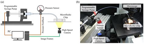 An On-Chip RBC Deformability Checker Significantly Improves Velocity ...