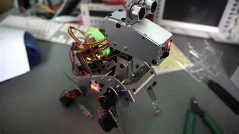 Image result for Python Dog