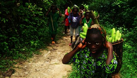 Image Source for Local Development 的图像结果