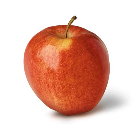 Image result for Apple System.Data