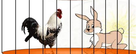 鸡兔同笼问题解法 - 业百科