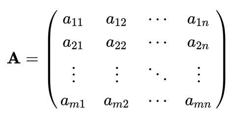 Matrix in Math Definition 的图像结果