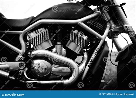 Image result for V-Rod Engine