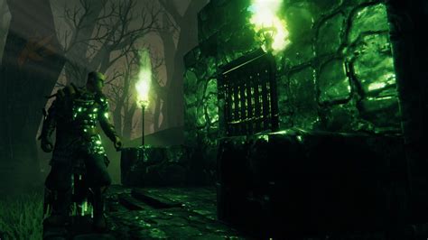 Image result for Valheim Swamp Crypt