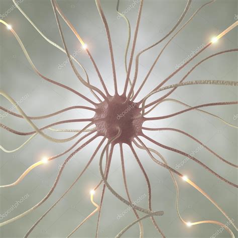 Nerve Cell Under Microscope