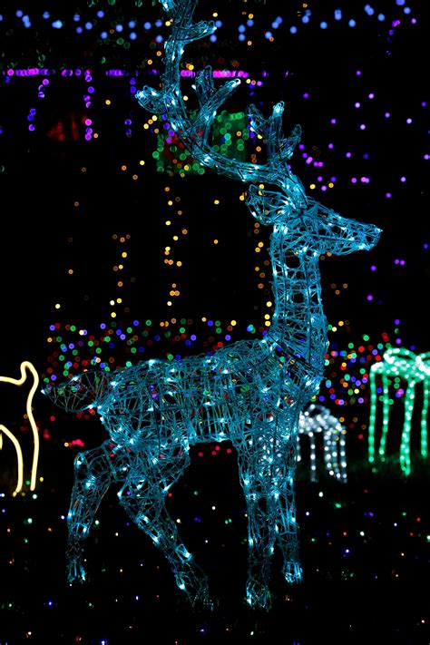 Image result for Colorful String Lights