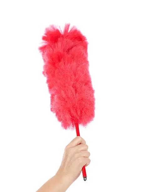 Using Feather Duster 的图像结果