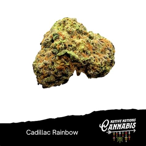 NNC-NY 3.5g Flower - Cadillac Rainbow - Native Nations Cannabis NY