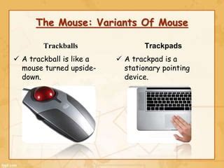 Image result for Computer Chapter the Mouse