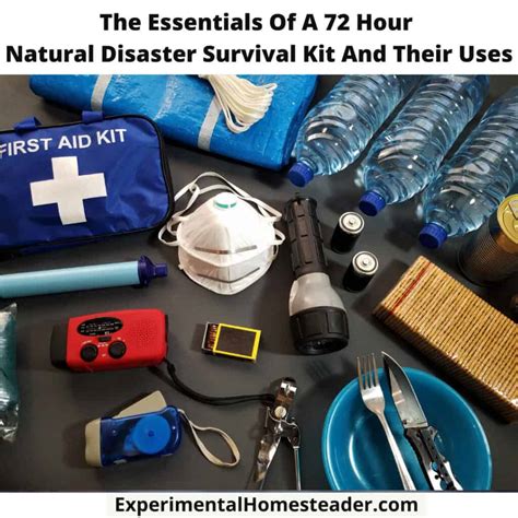 Image result for Disaster Survival Kit