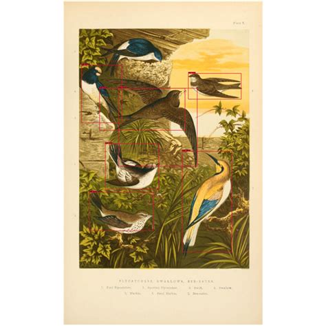 Image result for Tensorflow Projects