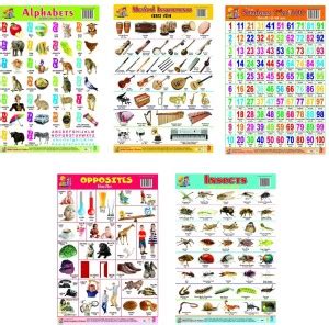 Combo of 5 Learning Charts Alphabet | Insects | Musical Instruments ...