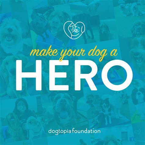 Image result for Hero Program